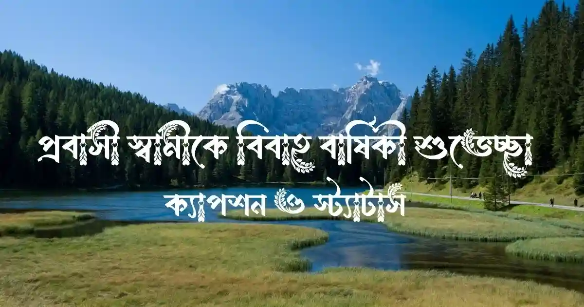 প্রবাসী স্বামীকে বিবাহ বার্ষিকী শুভেচ্ছা, ক্যাপশন ও স্ট্যাটাস