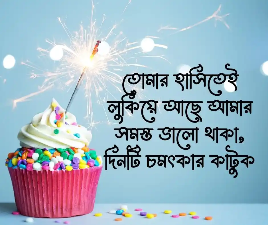 শুভ জন্মদিন স্ট্যাটাস Happy Birthday Status Bangla