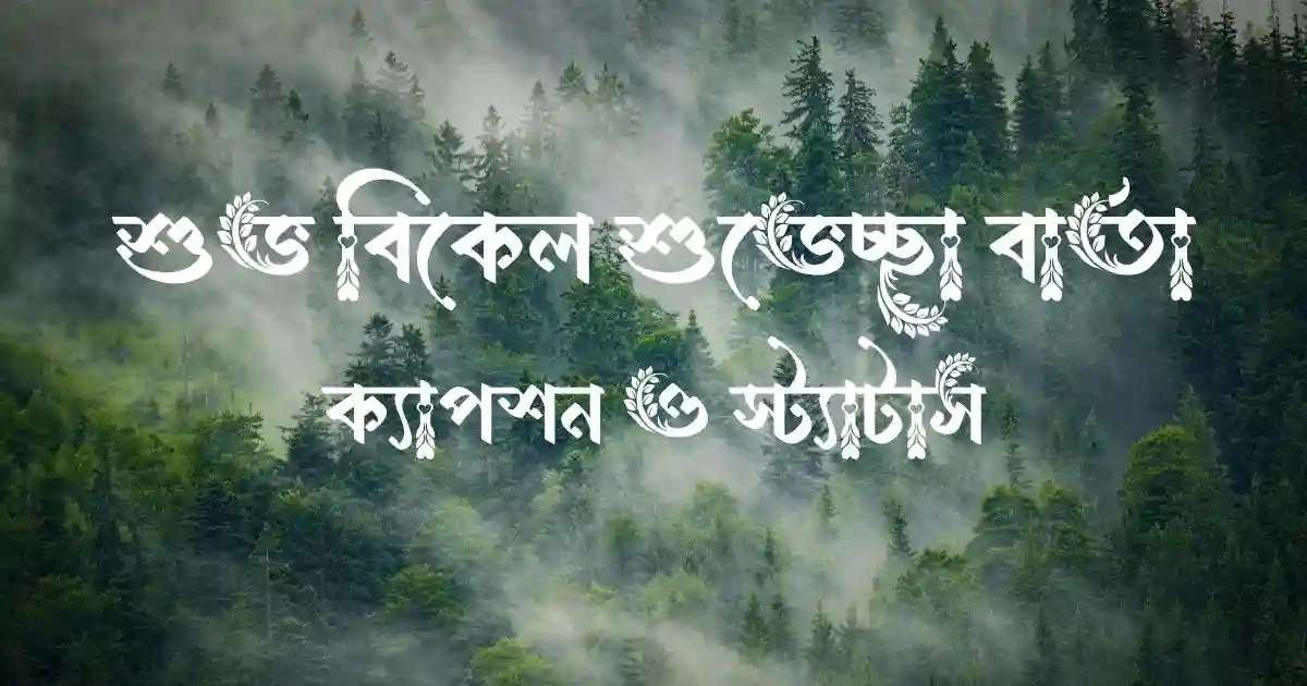 শুভ বিকেল শুভেচ্ছা বার্তা, ক্যাপশন ও স্ট্যাটাস